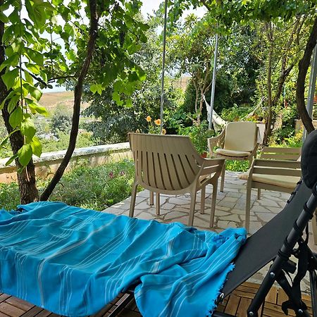 Lemon Garden Apartment-Hot Tub Jacuzzi Gjirokastër المظهر الخارجي الصورة